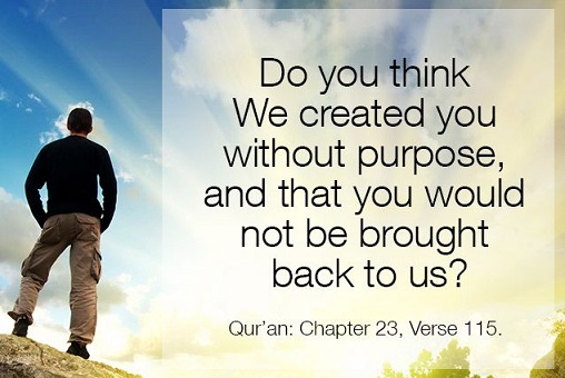 31c3f4e995f0eeefaf1420c273f14666